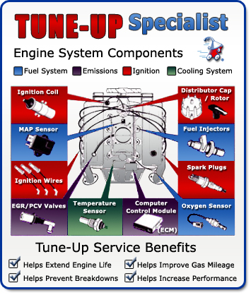 TUNE UP SERVICES