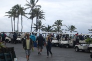 Carts lined up for shotgun start of the 3rd Annual APIII Golf Tournament in Hawaii