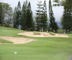 Bunkers trim the green here but not a problem for these players at Mid Pacific Country Club