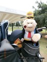 Wimpy watches over the golf clubs at the Midas Hawaii Tony Pereira Memorial Golf Tournament